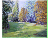 Alberi nel parco in Villa Franchetti a S. Trovaso (TV)